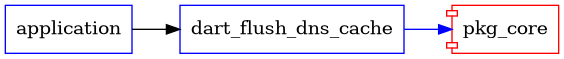 dart_flush_dns_cache graph
